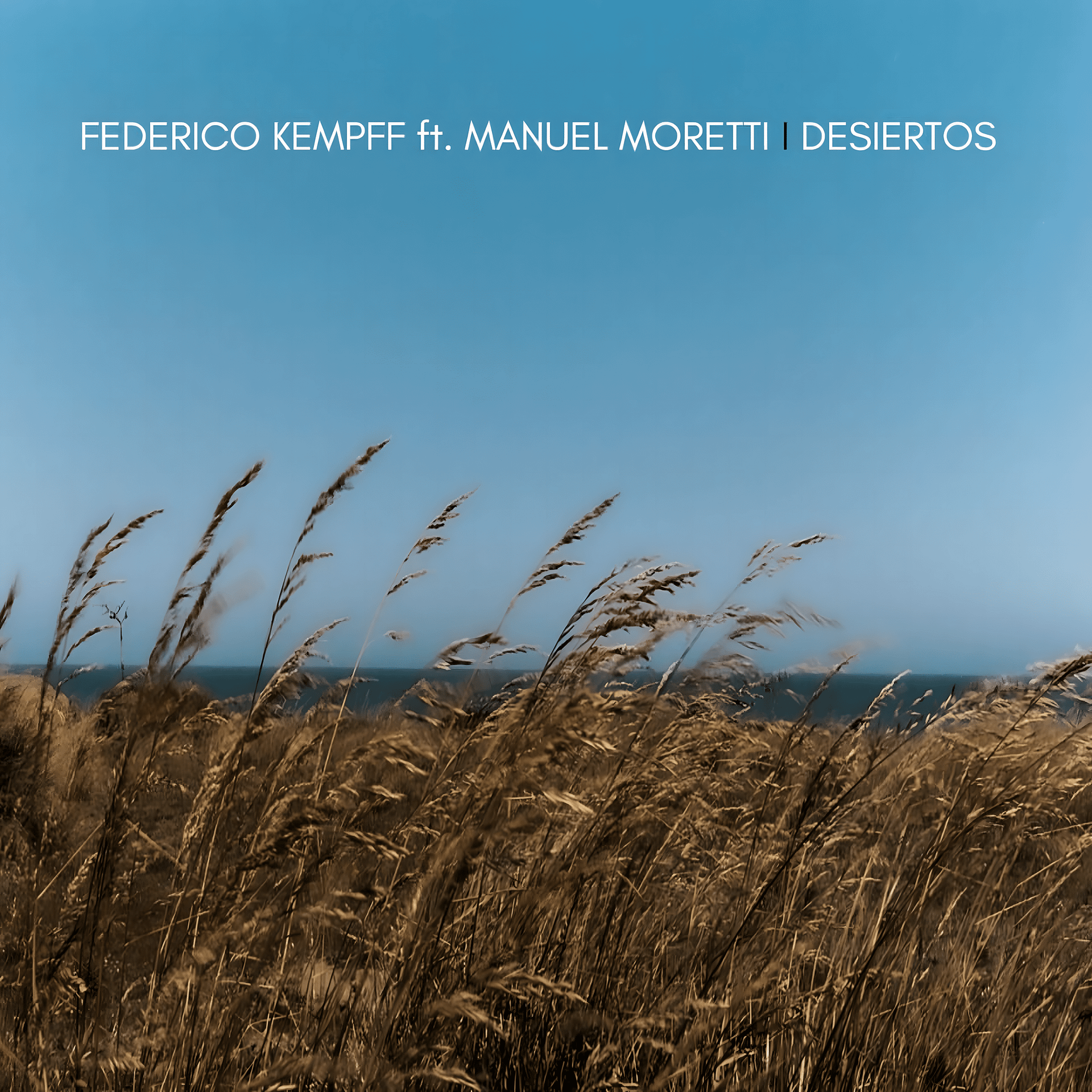 Tres décadas de música y sigue sin rendirse. Federico Kempff y Manuel Moretti se encuentran en 'Desiertos', un single que elige no detenerse. Escúchalo. #FedericoKempff #PlétoraMusic #IndieRockArgentino